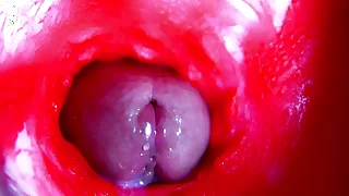 1810 solo porn videos